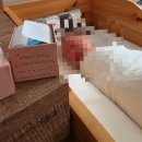 [포천] 아르테미스 산후조리원 2주 솔직후기