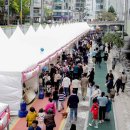 페스티벌 이미지