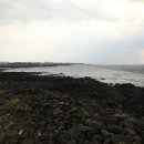 서림연대 이미지