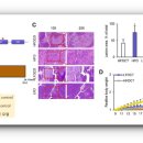 킴바이오 이미지