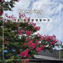 캠핑굿 | 시흥캠핑장 솔잎향캠핑파크 만족후기