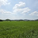 용전리 티스토리