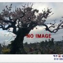 제주원드림공인중개사사무소 네이버블로그