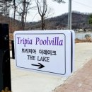 트리피아 키즈풀빌라 이미지