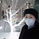 인셀덤줄리