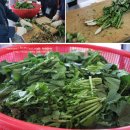 명도암참살이체험휴양마을 이미지