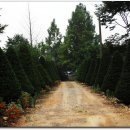 파평산농장 이미지