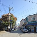 꼬마농축산 네이버블로그