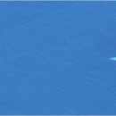 푸른소리 보청기 이미지