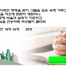 제11-45호