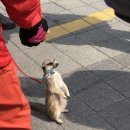 왕바위길 | 등린이 죽을뻔한 도봉산 등산코스 -초보자 다락능선~포대능선 절대금지