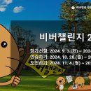비버코딩 이미지