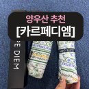카르페디엠플라워 | 카르페디엠 예쁘고 튼튼한 3단 양우산 추천! 자외선까지 잡는 겸용템 찾는다면?