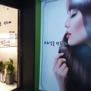 스타일을탐하다 - 102448 | 스타일을탐하다