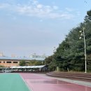 소사벌레포츠타운(천연잔디구장) | 평택 인라인 스케이트 탈 수 있는 곳(소사벌레포츠 공원, 타운) 무료 주차?
