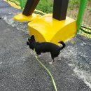 나드리세차장 이미지