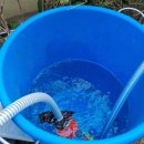 교리초등학교 앞 이미지