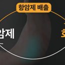 항암 치료 과정에서 부작용을 완화 조절하는 데 도움 되는 방법 이미지