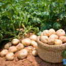 보강병원 이미지