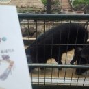 신례동로 이미지