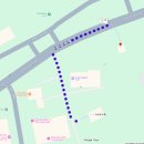 퍼펙트피자and치킨 | 뉴질랜드 퀸스타운 신혼여행 온센핫풀 근처 맛집 Rakau 피자 후기