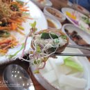 꿀참나무 이미지