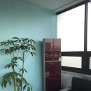 동탄청계로 이미지