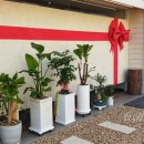 용덕장코다리 이미지