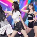 포토조아 이미지