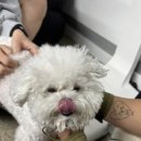 정복세천 이미지
