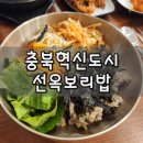 충북혁신도시 선옥보리밥 | 건강 한식 맛집