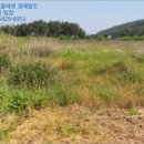 천북면사무소 이미지