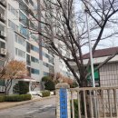 개나리아파트 이미지