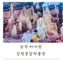 강원도 삼척여행 아이랑 가볼만한곳 강원종합박물관 후기