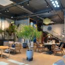 에델바움 이미지