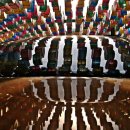 안국선원 이미지