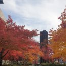 천안 신세계백화점 아라리오갤러리 관람후기 주차할인