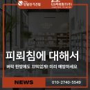 GS25 도선쉐르빌점 | 피뢰침 설치가 필요한 이유, 건물 화재·감전사고 막는 전기안전 필수공사
