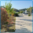 남포육전밀면&굴국밥 네이버블로그