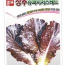 씨앗 - 남양주시 덕소로116번길 11 | 씨앗