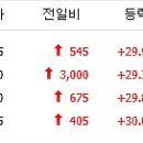 신우씨푸드 티스토리