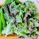 NS호스텔 이미지