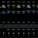 지천면사무소 이미지