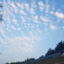 구름뜰농장 이미지