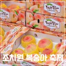 봉산면농촌복합체육관 | 2024 조치원 복숭아 축제 기본정보 에어쇼 주차정보 토요일 방문후기