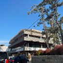 버팀목농원 이미지