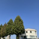 학산터미널 | 전주 2박3일 워케이션 도서관여행 | 아중호수도서관, 첫마중길여행자도서관, 학산숲속시집도서관 등