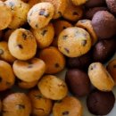 디저트 아카데미(쿠키) 이미지