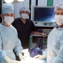 양지메디컬 이미지