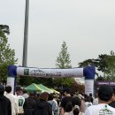 봄길 | 제1회 구례 지리산 봄길 마라톤 10km 완주 후기